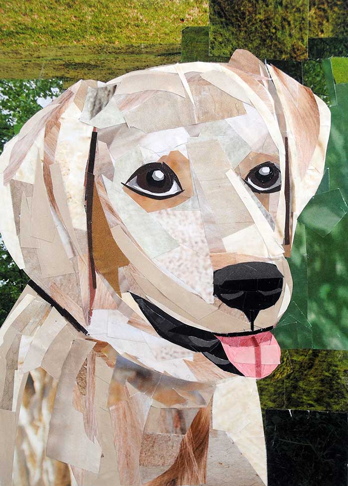 Bark Wahlberg the Golden Retriever by collage artist Megan Coyle