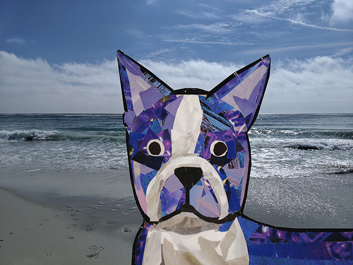 Bosty goes to Monterey by collage artist Megan Coyle