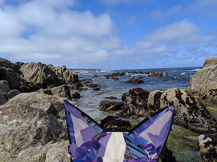 Bosty goes to Monterey by collage artist Megan Coyle