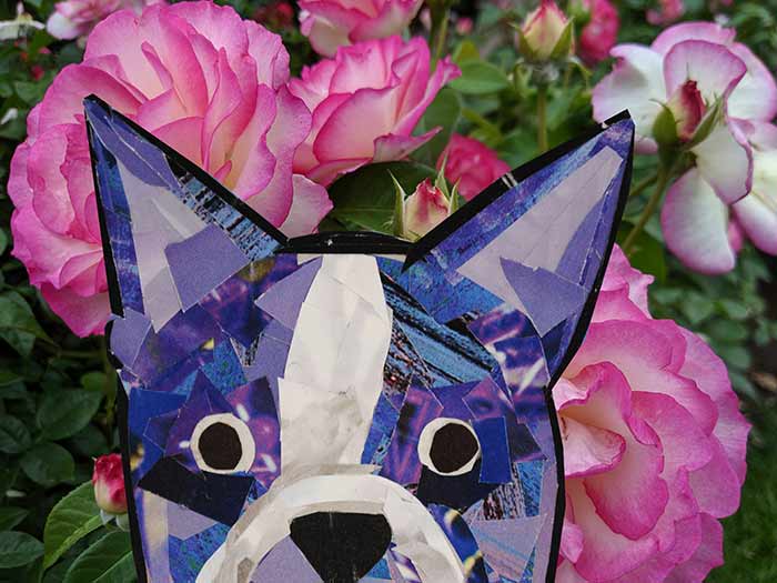 Bosty goes to Portland, Oregon by Megan Coyle