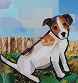 Jack Russell Terrier