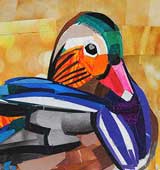 Mandarin Duck