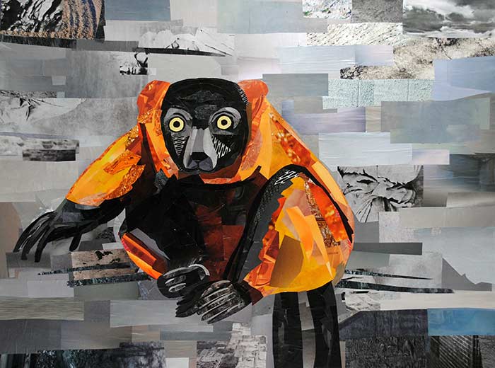 Red Ruffed Lemur by collage artist Megan Coyle