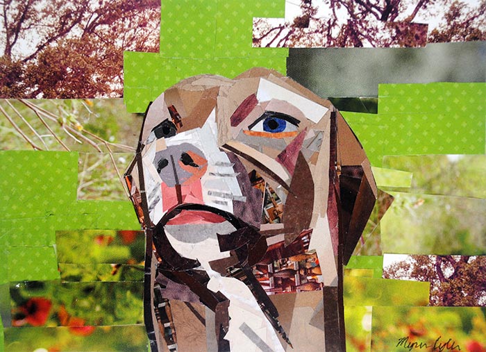 The Distracted Pit Bull by collage artist Megan Coyle