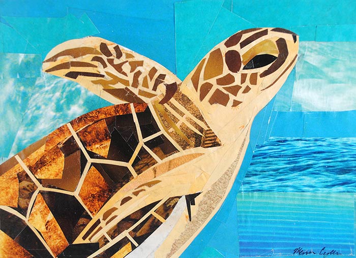 The Soaring Sea Turtle by collage artist Megan Coyle