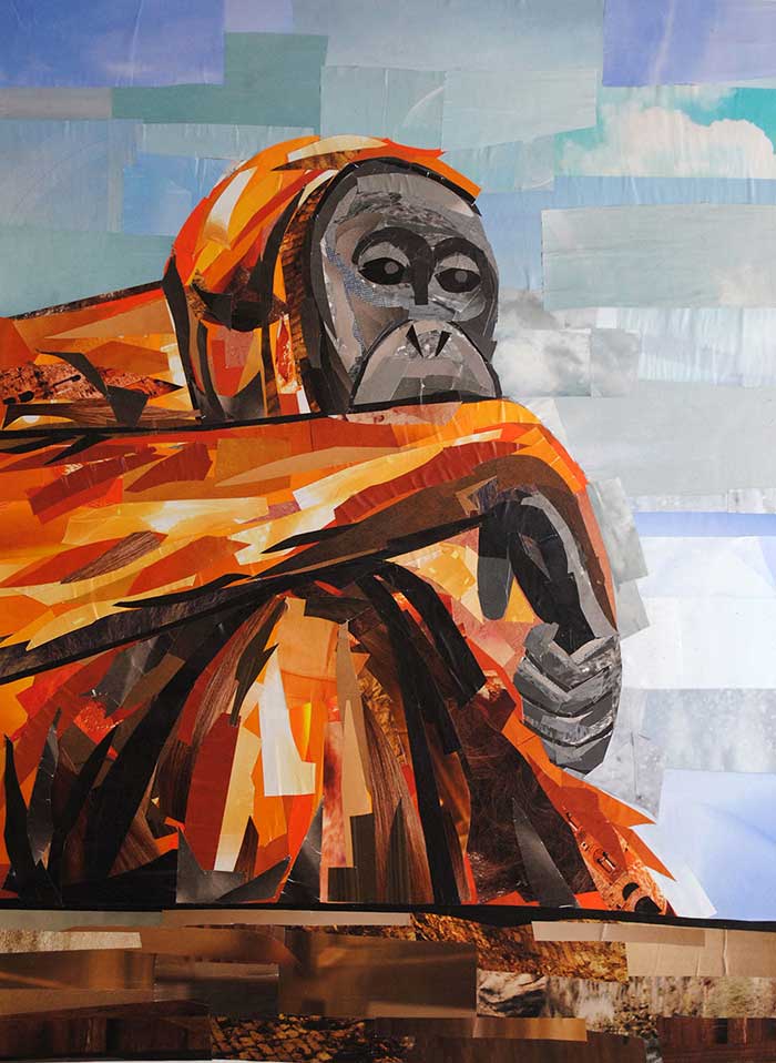 What Are You Looking At - orangutan - by collage artist Megan Coyle