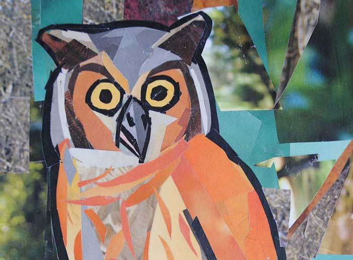Owl by collage artist Megan Coyle
